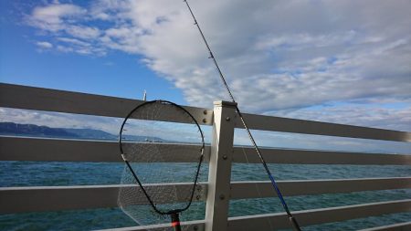 青物の気配がない・・・